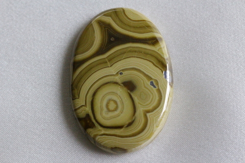 超激レア！ポーランド産シャーレンブレンド1【最高品質・光沢・超激レア】