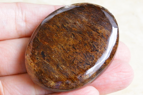 超激レア！ロシア産アストロフィライト・パームストーン1【最高品質・高波動・光沢・超激レア】