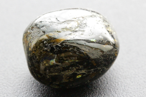 最高品質！ブルー＆ゴールド！高波動グリーンランド産ヌーマイト・パームストーン16.6g【最高品質・高波動・光沢・超激レア】