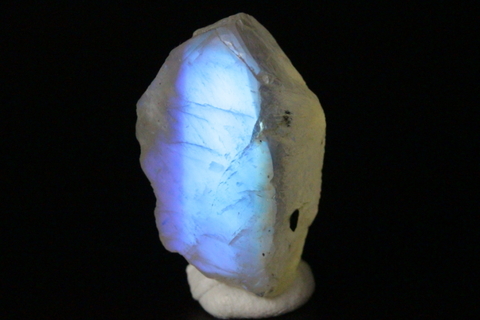 超強烈ブルーシラー！高品質レインボームーンストーン・パームストーン2【高品質・光沢・激レア】