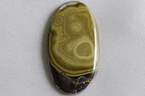 超激レア！ポーランド産シャーレンブレンド2【最高品質・光沢・超激レア】