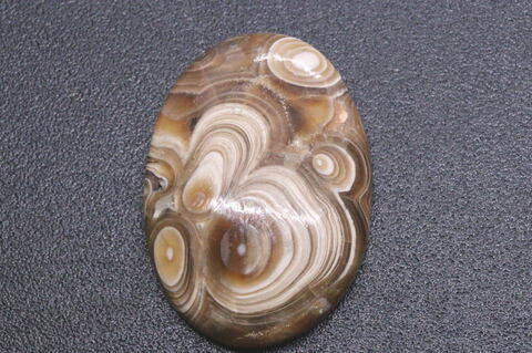 高品質シャーレンブレンド34mm【高品質・光沢・激レア】