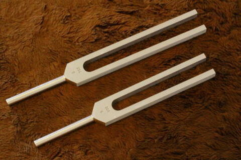 【高品質】ボディチューナー2本セット（米国製）