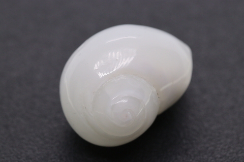 極上秘蔵品！超高波動！奇跡の石ケオン【最高品質・超高波動・光沢・激レア】