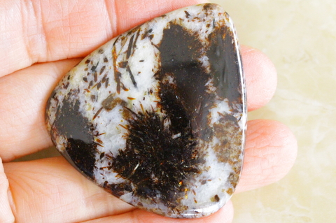 超激レア！ロシア産アストロフィライト【最高品質・高波動・光沢・超激レア】