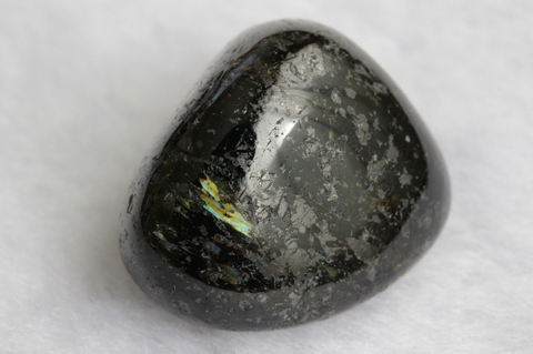 極上！ブルー＆ゴールド！高波動グリーンランド産ヌーマイト・パームストーン18.8g【最高品質・高波動・光沢・超激レア】