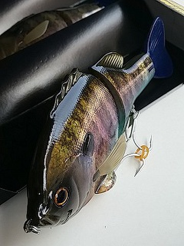 デプス　ブルシューター160SS