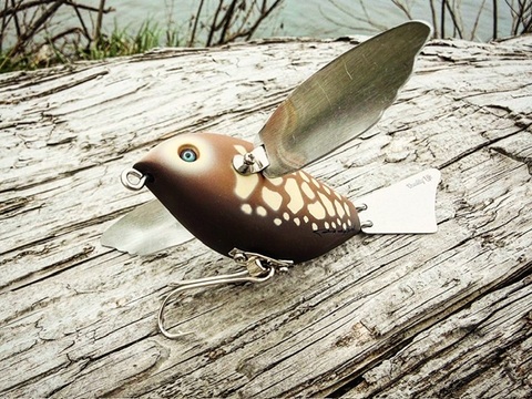 クオリティライフ　Fish Colca/フィッシュ コルカ　シープフィッシュ クオリティライフ フィッシュコルカ エナジーボーン : GIZMO ヤフー店