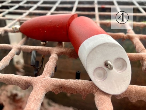 商品一覧 - ☆ topwater freaks ROBOT ☆