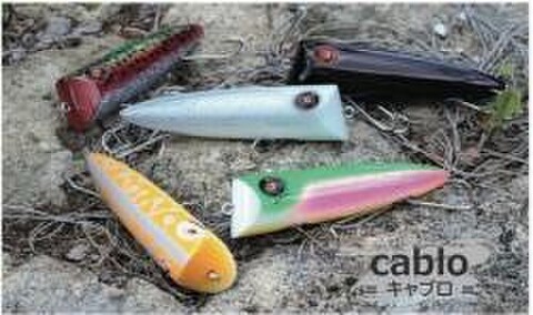 商品一覧 - ☆ topwater freaks ROBOT ☆