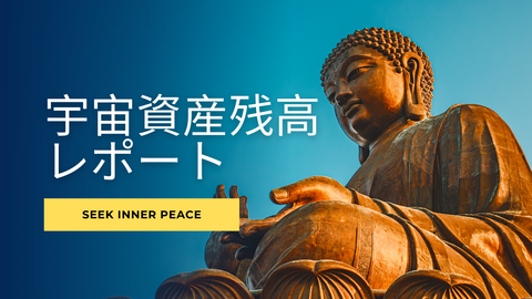 宇宙資産の残高照会レポート