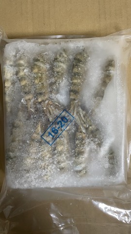 ブラックタイガー無頭殻付　900ｇ注水ブロック（BQF）インドネシア産　16/20サイズ　鮮度良好（32～40尾）/ブロック当たり