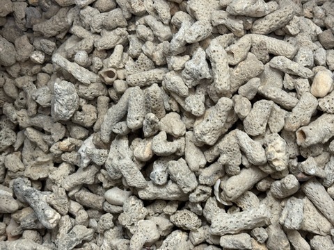 サンゴ　1kg入り