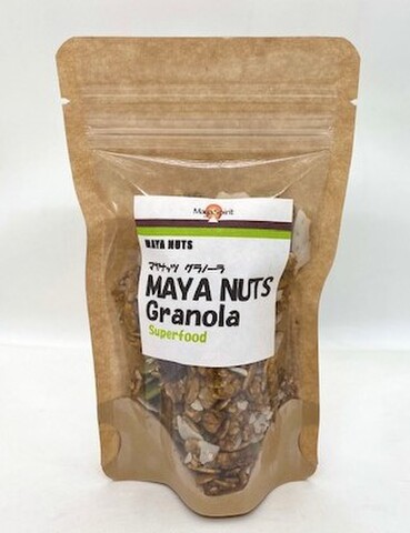 マヤナッツ パウダー 1kg マヤナッツパウダー 1kg | マヤナッツ WEBショップ ～マヤナッツ