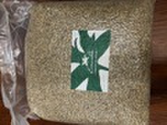 生豆　パナマ　エスメラルダ・プライベート・コレクション ナチュラル　　1kg