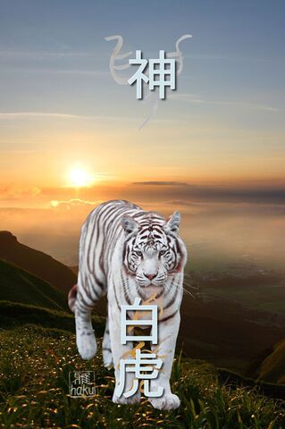 陰陽師　雅オリジナル★開運招福ｽﾏﾎ待ち受け霊符　⑫朝日と白虎
