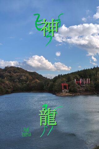 陰陽師　雅オリジナル★開運招福ｽﾏﾎ待ち受け霊符　⑭龍王池と龍神