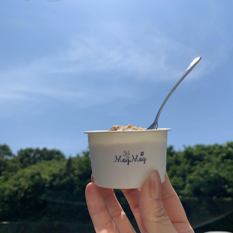 ナイスクリーム（プレーン）