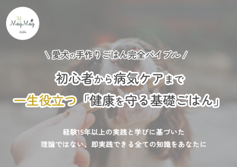 【印刷書籍】一生役立つ「健康を守る基礎ごはん」/ 部数限定予約販売