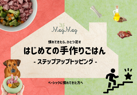 はじめての手作りごはん ーステップアップトッピング ー