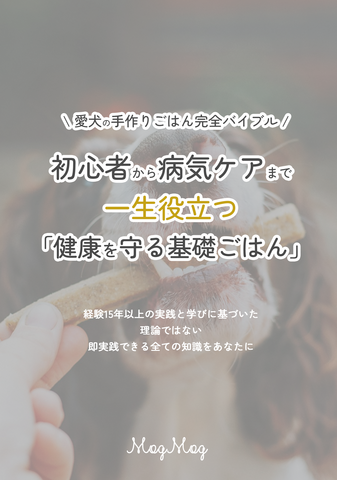【印刷書籍】一生役立つ「健康を守る基礎ごはん」