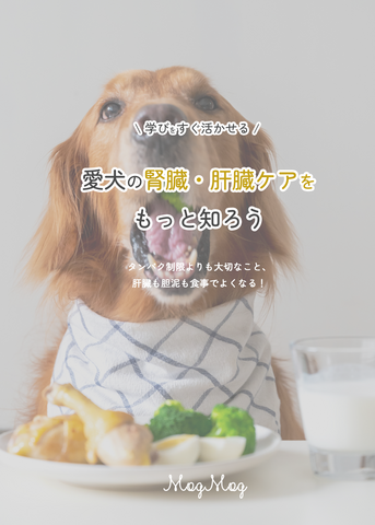 【印刷書籍】愛犬の腎臓・肝臓ケアをもっと知ろう/３０部限定