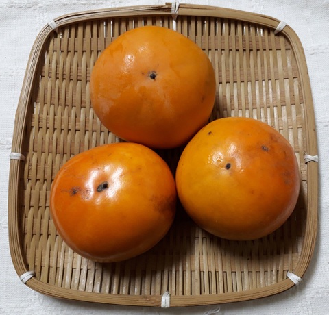 自然栽培　富有柿