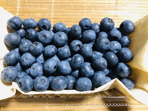 自然栽培 ブルーベリー 100g