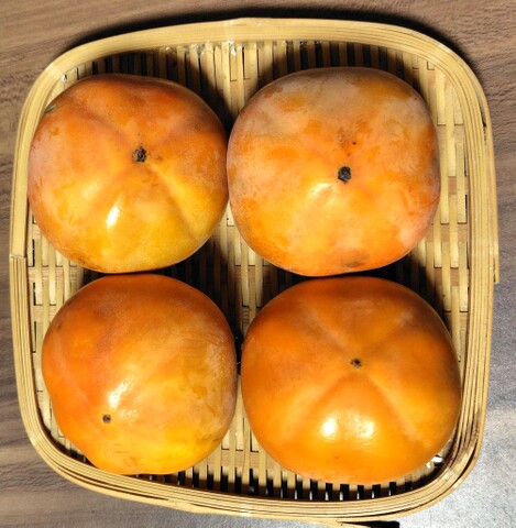 自然栽培　紋平柿（渋柿）