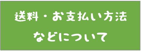 送料・支払方法などについて