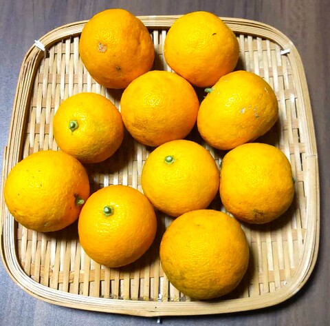 自然栽培じゃばら 500g