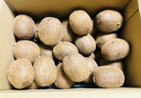 キウイ　お徳用 S Mサイズ混合5kg