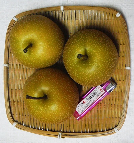 自然栽培　梨