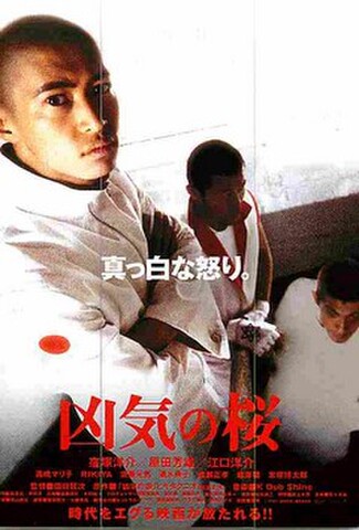 凶気の桜（試写状）