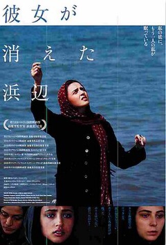 彼女が消えた浜辺（試写状）