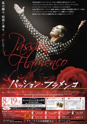 映画チラシ： パッション・フラメンコ（館名欄表）