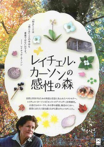 映画チラシ： レイチェル・カーソンの感性の森