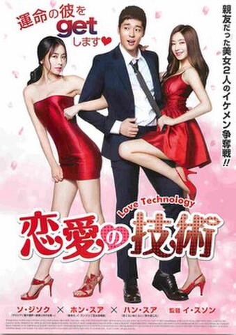映画チラシ： 恋愛の技術
