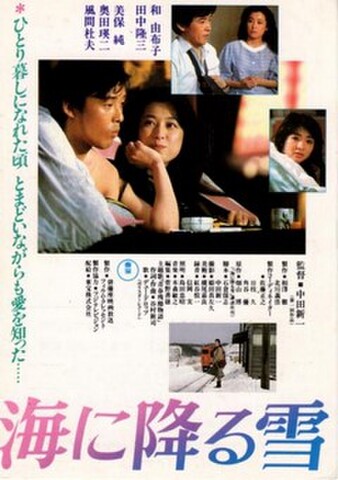 海に降る雪（試写状・宛名記入済）