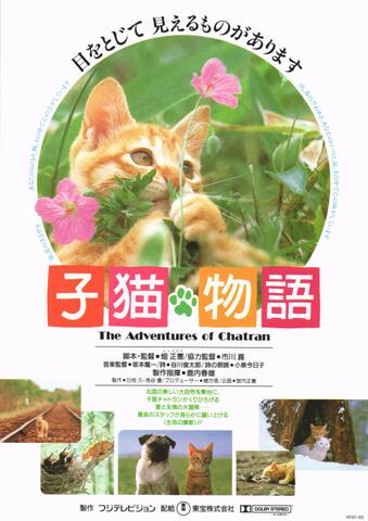 映画チラシ： （1240）子猫物語