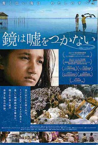 鏡は嘘をつかない（試写状）
