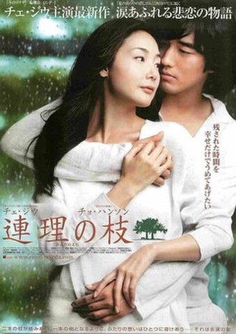 映画チラシ： 連理の枝（残された時間を～）