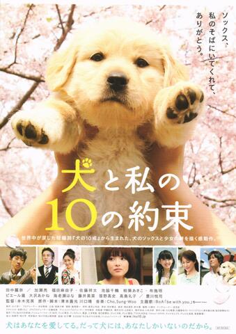 映画チラシ： （未917）犬と私の10の約束