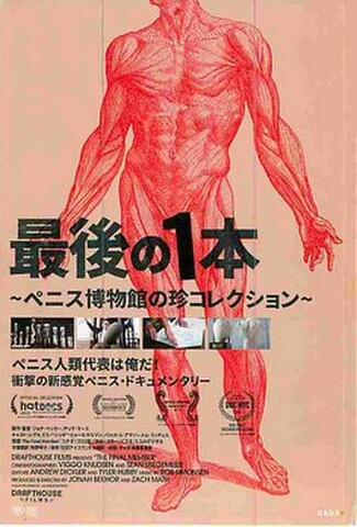 最後の1本　ペニス博物館の珍コレクション（試写状・宛名記入済）