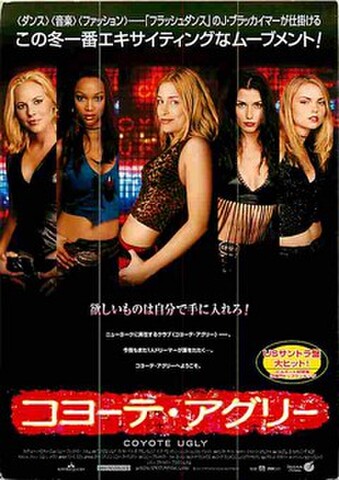 コヨーテ・アグリー（試写状・宛名記入済）
