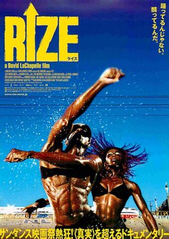 映画チラシ： ライズ
