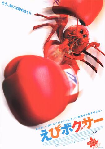 映画チラシ： （未803）えびボクサー