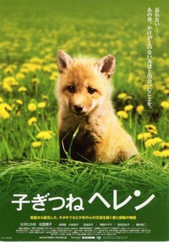 子ぎつねヘレン（試写状・忘れない～コピー白・宛名記入済）
