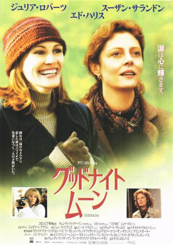 映画チラシ： （未713）グッドナイトムーン