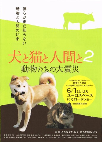 映画チラシ： （小型0022）犬と猫と人間と2　動物たちの大震災（B6判・2枚折）